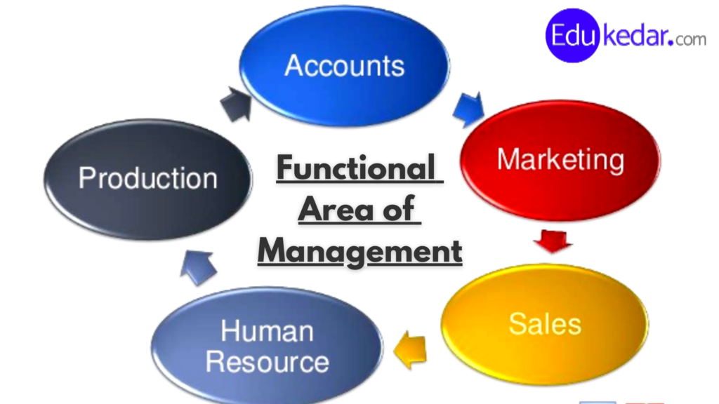 Diagram Functional Areas Of Management Functional Areas Of M