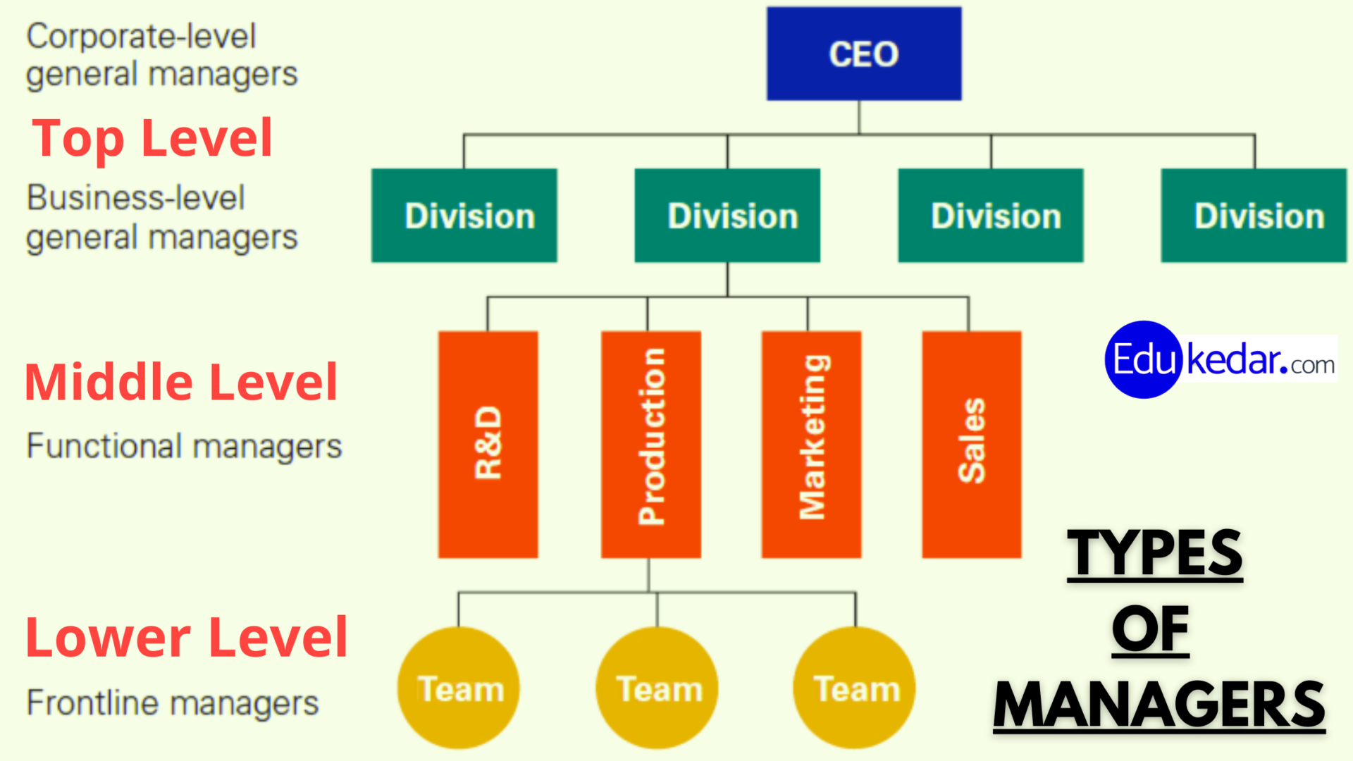 Levels of Management: 3 Functional Area & Types of Managers