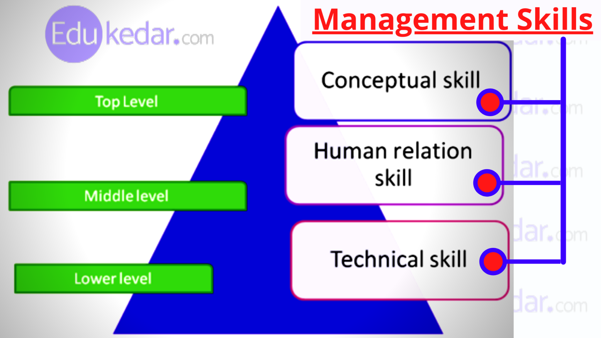 assignment of management skills