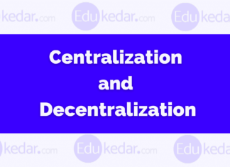 Centralization And Decentralization: Difference, Advantage & Disadvantage Centralization and Decentralization