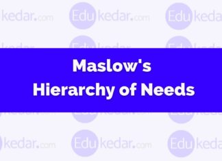 Maslow’s Hierarchy of Needs Theory (5 Levels Explained with Examples) Maslow's Hierarchy of Needs