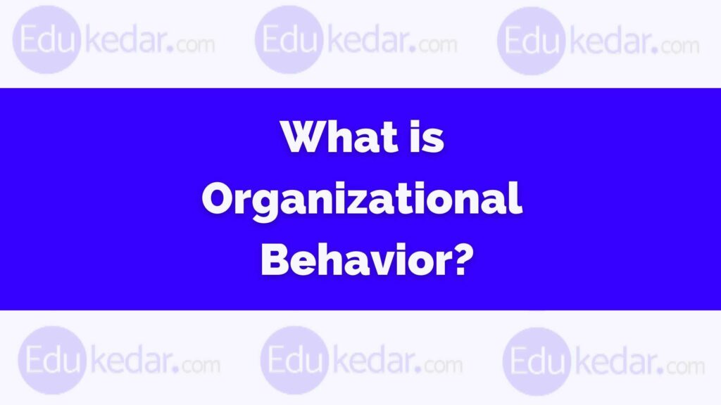 what-is-organizational-behavior-meaning-definition-models