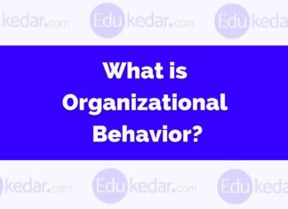 What is Organizational Behavior? Meaning, Definition, Models What is Organizational Behavior