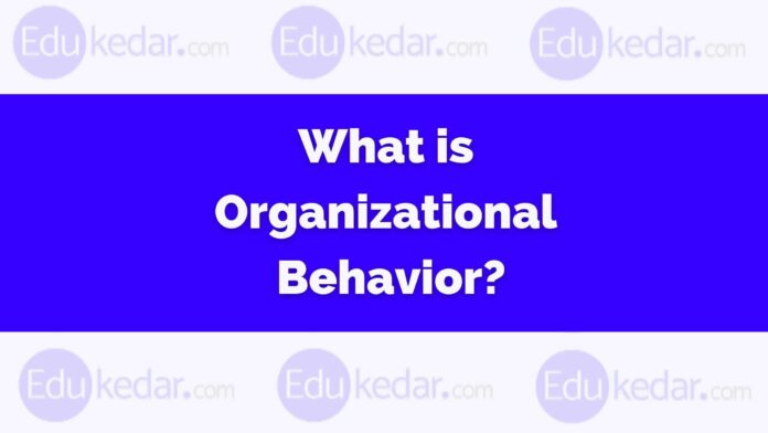 What is Organizational Behavior