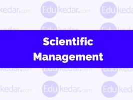 What is Scientific Management Theory