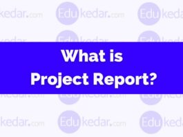 What is project report