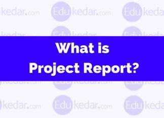 What is Project Report? Format, Objective, Content, Characteristic What is project report