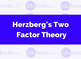 Herzberg’s Two Factor Theory of Motivation (Motivator-Hygiene Factors) Herzberg's Two Factor Theory