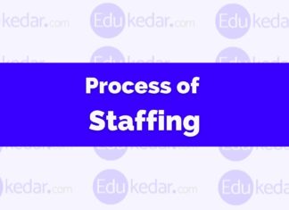 Process of Staffing in Management: Steps Explained with Examples process of planning in management