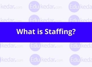 What is Staffing in Management? Meaning, Definition, Process Staffing in Management