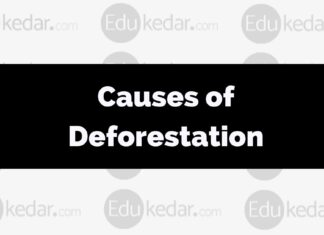 Causes of Deforestation: Meaning, Reason & Effects on Environment reason and causes of deforestation