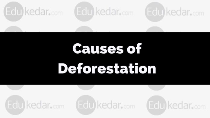reason and causes of deforestation
