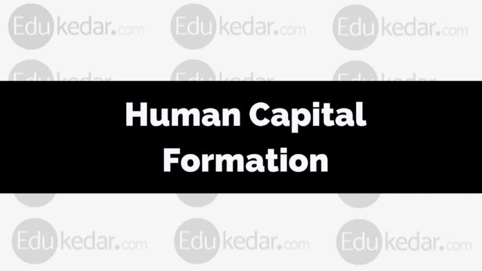 human capital formation