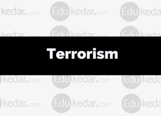 Terrorism: Meaning, Definition, Signs, Causes, Impact & Consequences terrorism