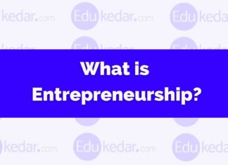 What is Entrepreneurship? Meaning, Define, Characteristics, Types what is entrepreneurship meaning