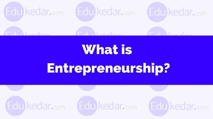 what is entrepreneurship meaning