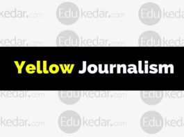 what is yellow journalism?