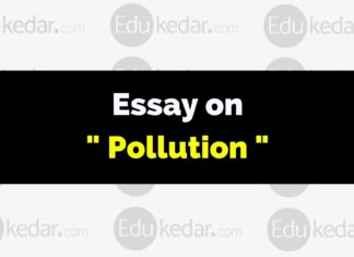 Essay on Pollution Essay on Pollution