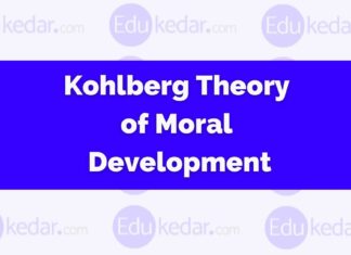 Kohlberg Theory of Moral Development: Morality 6 Stages, Gilligan Theory kohlberg theory of moral development