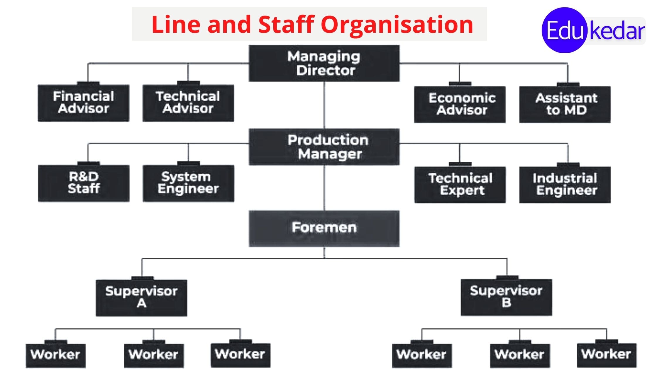 what-is-project-organization-form-types-line-divisional-matrix