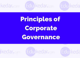 Principles of Corporate Governance & OECD Principles (Explained with Examples) Principles of Corporate Governance