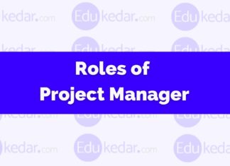 Roles and Responsibilities of Project Manager: Functions, Key Roles, Skills roles and responsibilities of project manager