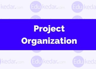 What is Project Organization? Form, Types, Line, Divisional, Matrix project organization