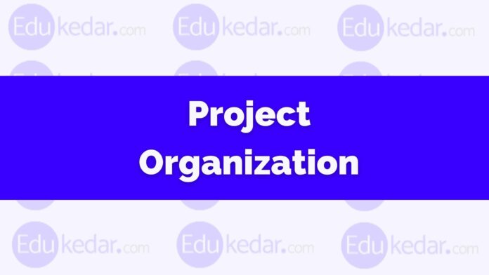 project organization