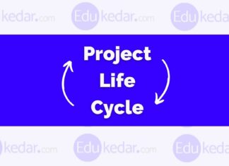 What is Project Life Cycle? Meaning, 5 Stages & Phases (with Examples) project life cycle