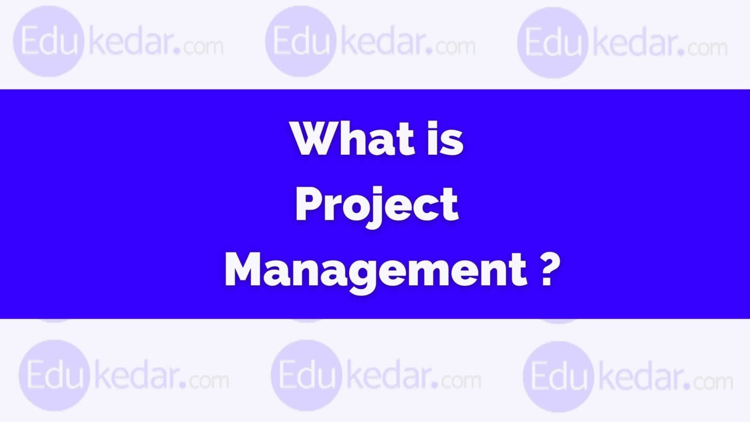 what-is-project-management-meaning-objective-importance-principles