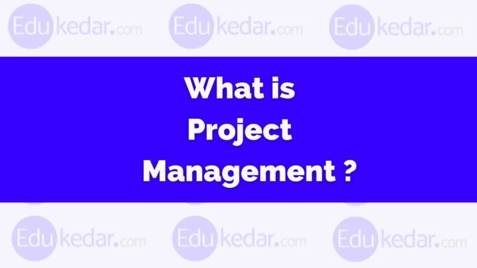 what is project management