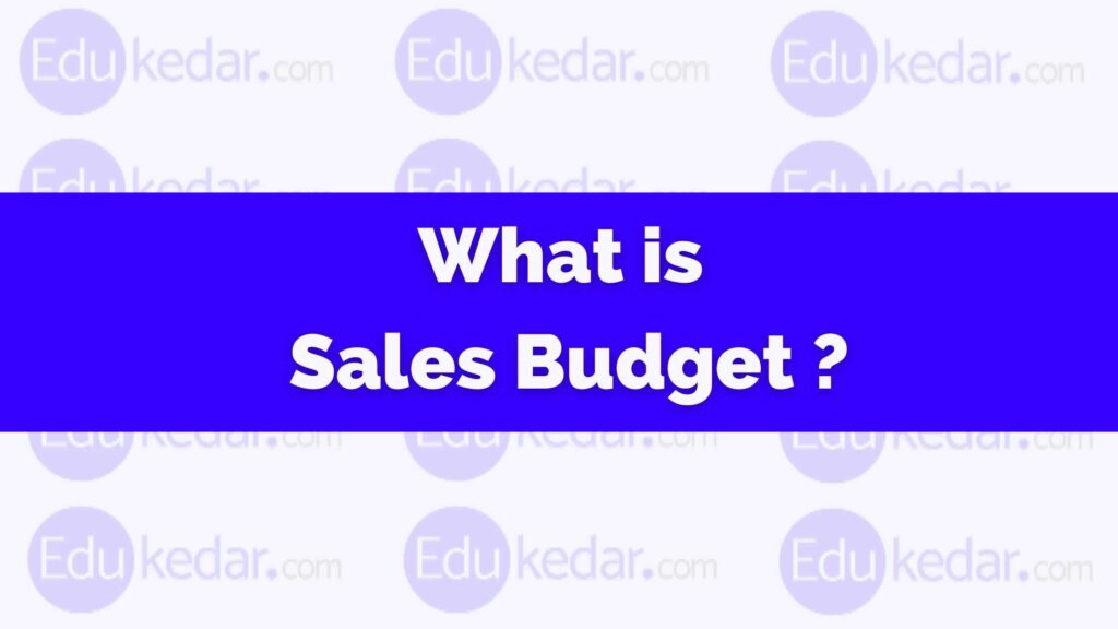 what-is-sales-budget-meaning-definition-preparation-example