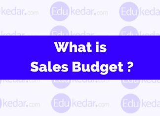 What is Sales Budget? what is sales budget