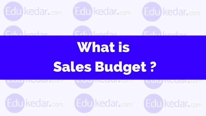 what is sales budget