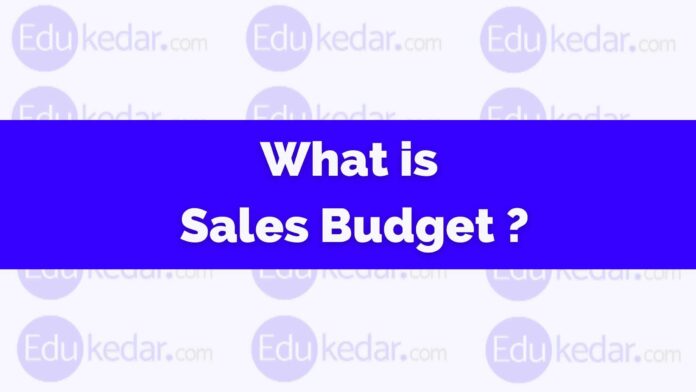 what-is-sales-budget