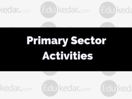 What are Primary sector activities