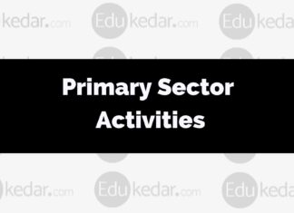 Primary Sector Activities What are Primary sector activities