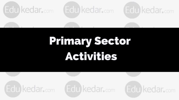 What are Primary sector activities