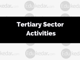 What are tertiary sector activities