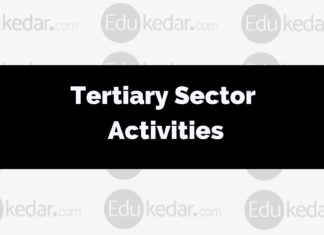 Tertiary Sector Activities What are tertiary sector activities