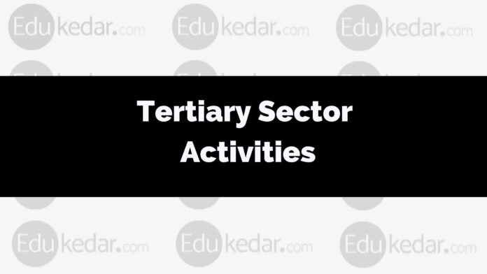 What are tertiary sector activities