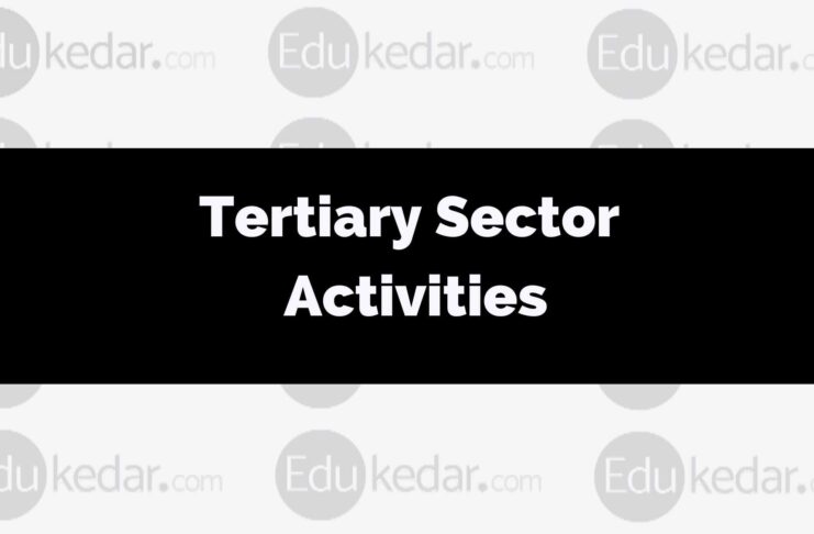 What are tertiary sector activities