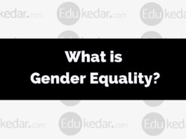 what is Gender Equality