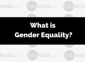 What is Gender Equality? what is Gender Equality