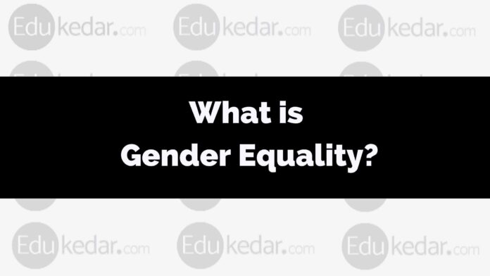 what is Gender Equality