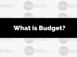 what is budget