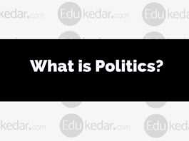 what is politics