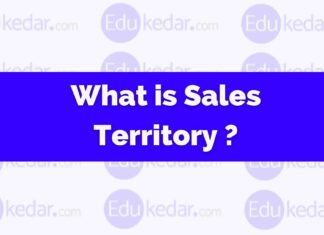What is Sales Territory? what is sales territory