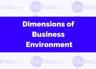 Dimensions of Business Environment Dimensions of Business Environment