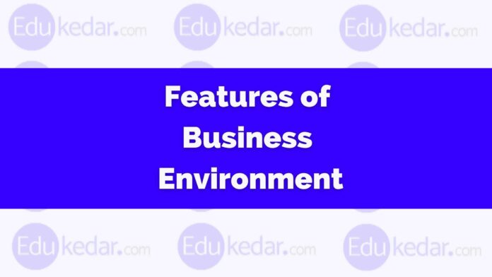 Features of Business Environment